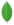 MongoDB